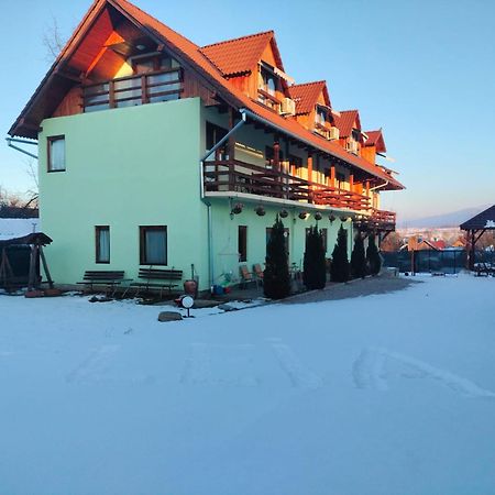 Pensiunea Leia Transfagarasan Cîrţişoara Exterior foto