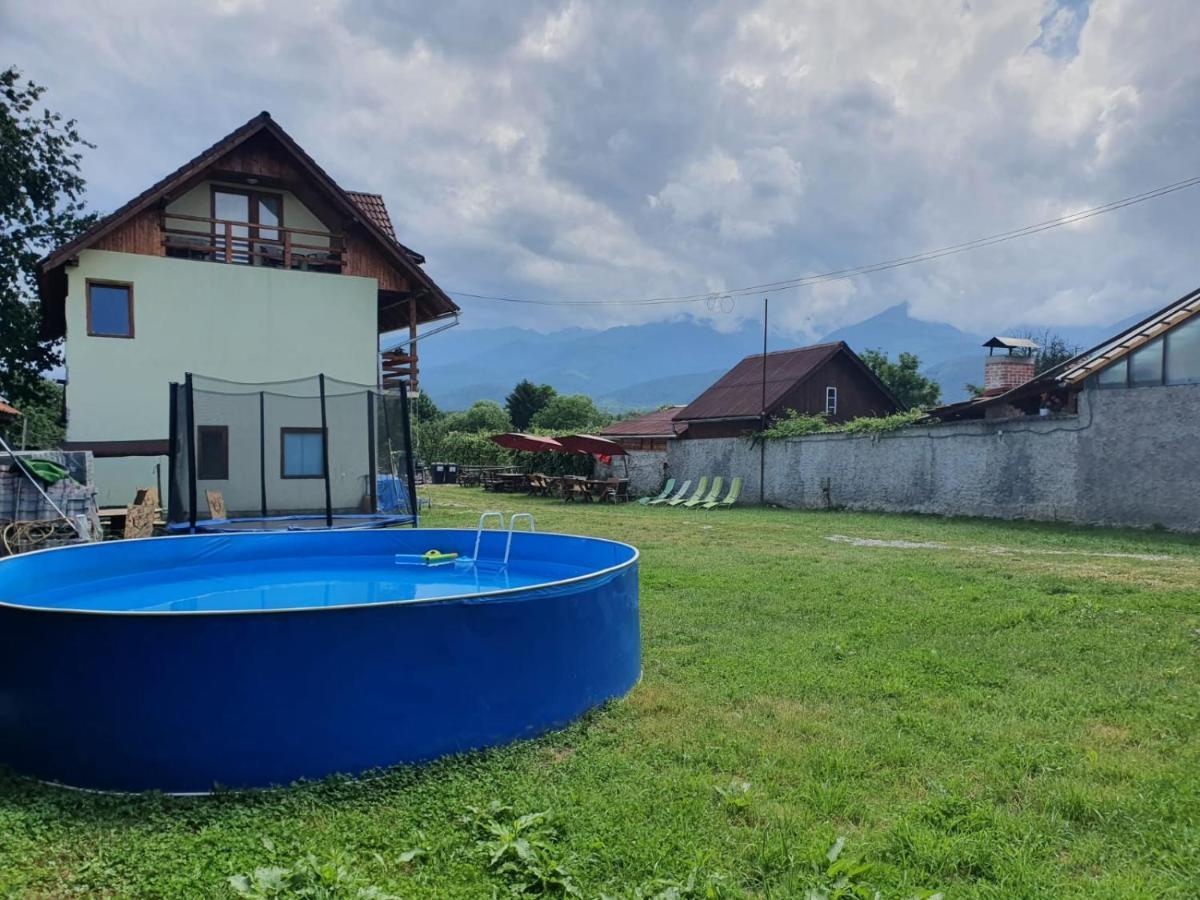 Pensiunea Leia Transfagarasan Cîrţişoara Exterior foto