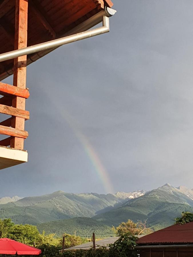 Pensiunea Leia Transfagarasan Cîrţişoara Exterior foto